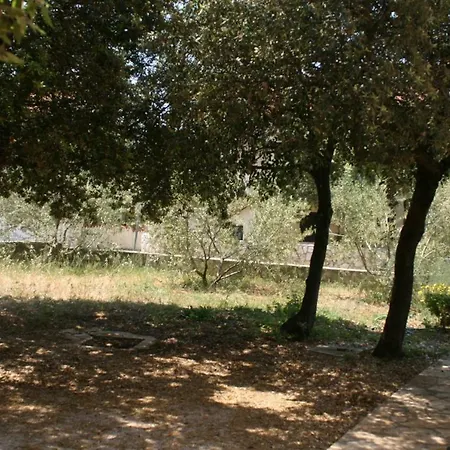 Mandre 6418c *